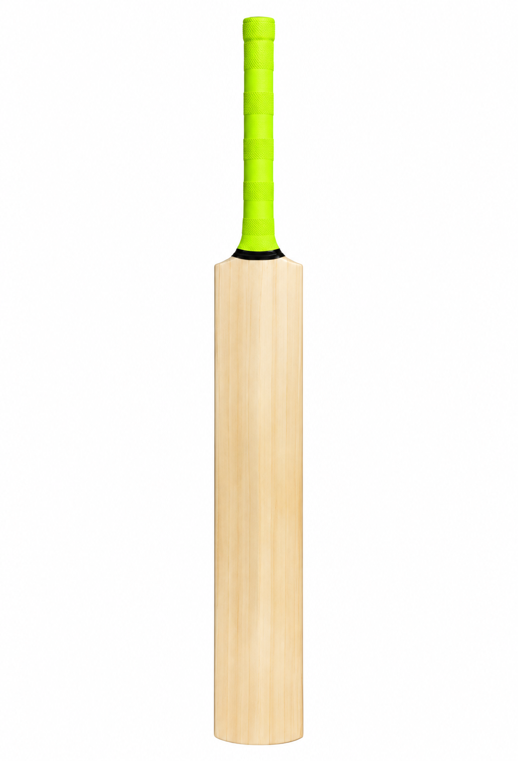 Kashmir-Willow-Bats.png